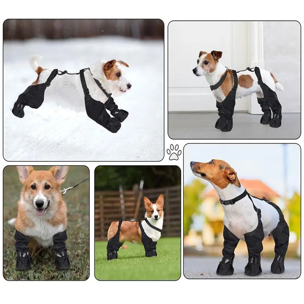 Pet  Boots Protect Paws Against Cold or Heat