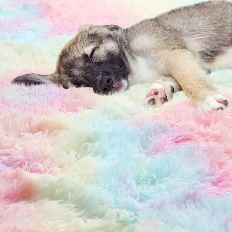 Rainbow Shag Rug; 1.8" Long Plush Fibers