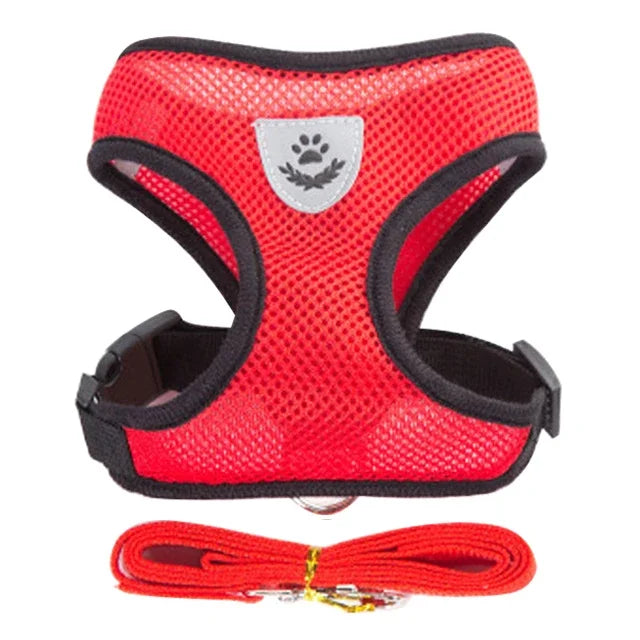 Cat Walking Vest Harness & Leash