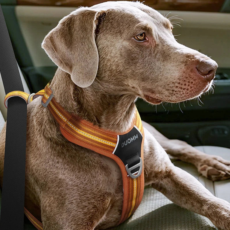 No-Pull, Heavy-Duty Vest Harness; Matching Leash