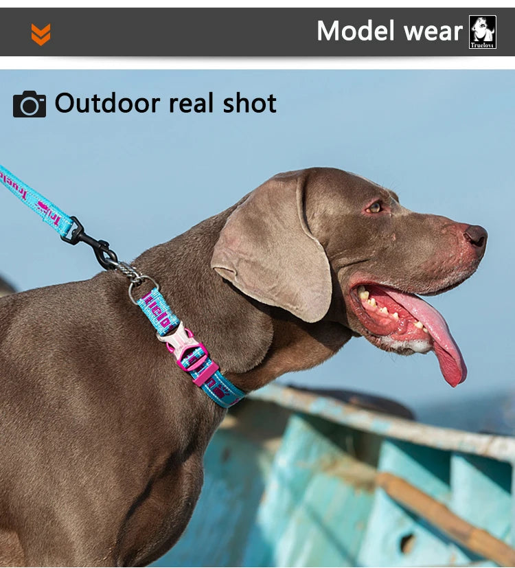 No-Pull Stainless Steel Nylon Dog Training Collar