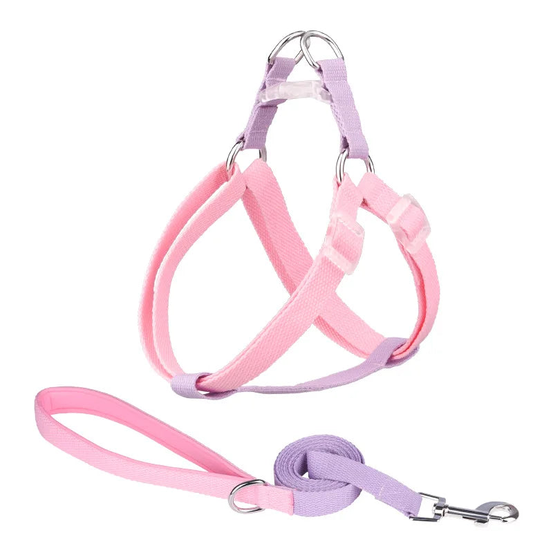 Dog Harness, Leash, Collar Set, No-Pull, Adjustable