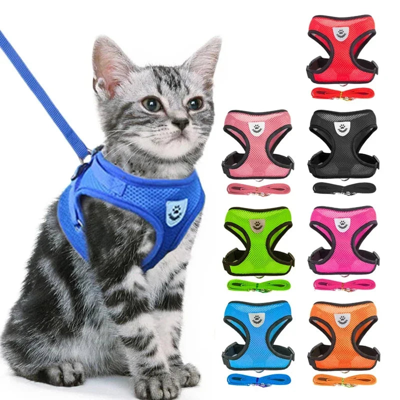 Cat Walking Vest Harness & Leash