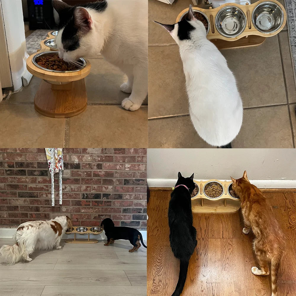 Cat 3 Bowl Raised Wooden Tilt Stand