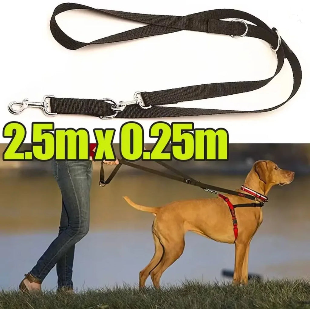 Adjustable Dog Leash for Walks, Training, Control