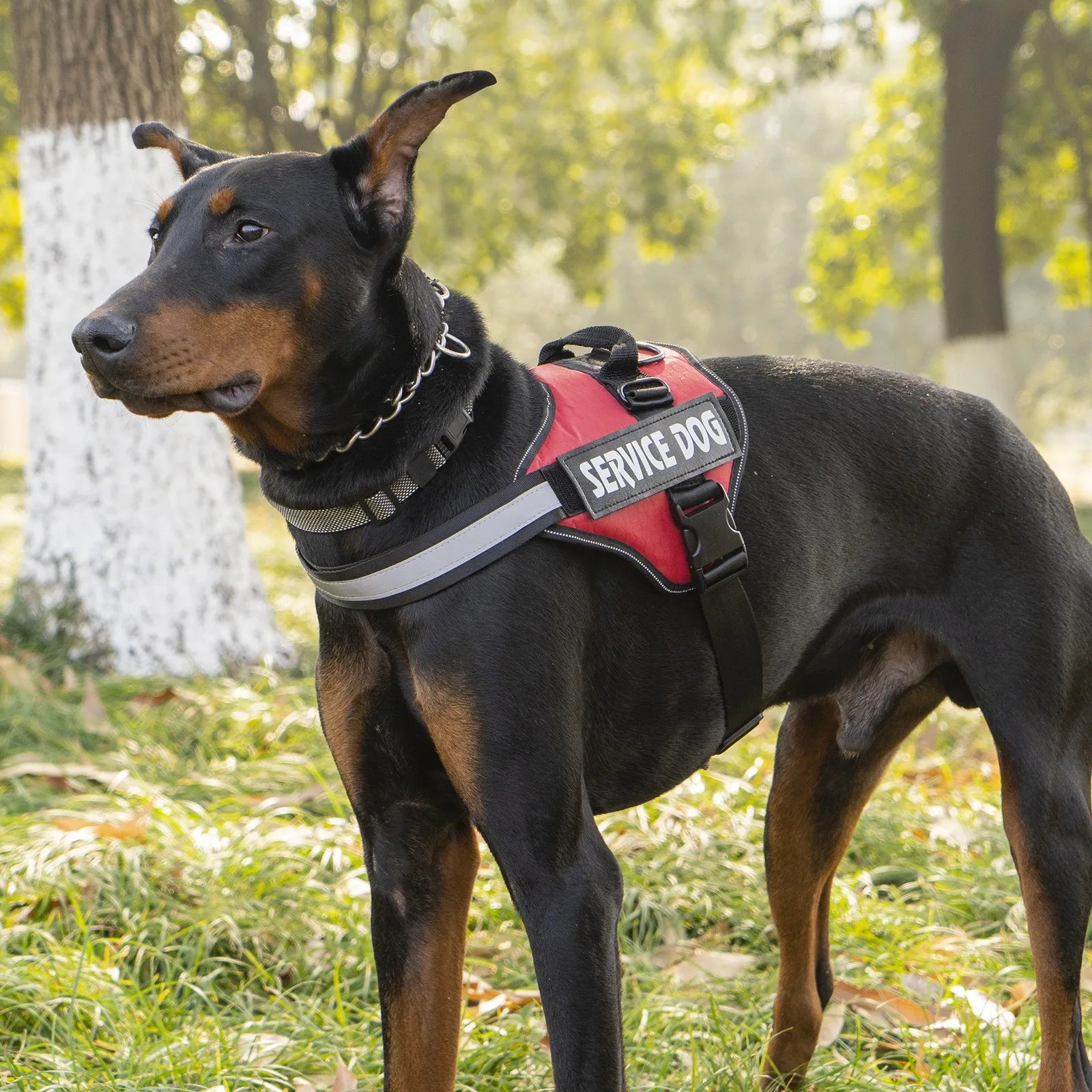 Service Dog Vest Harness; Chest Strap