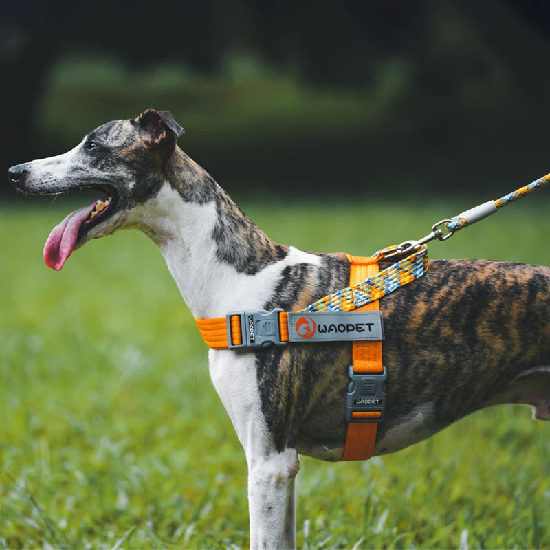 Chest Strap Nylon Harness, Adjustable