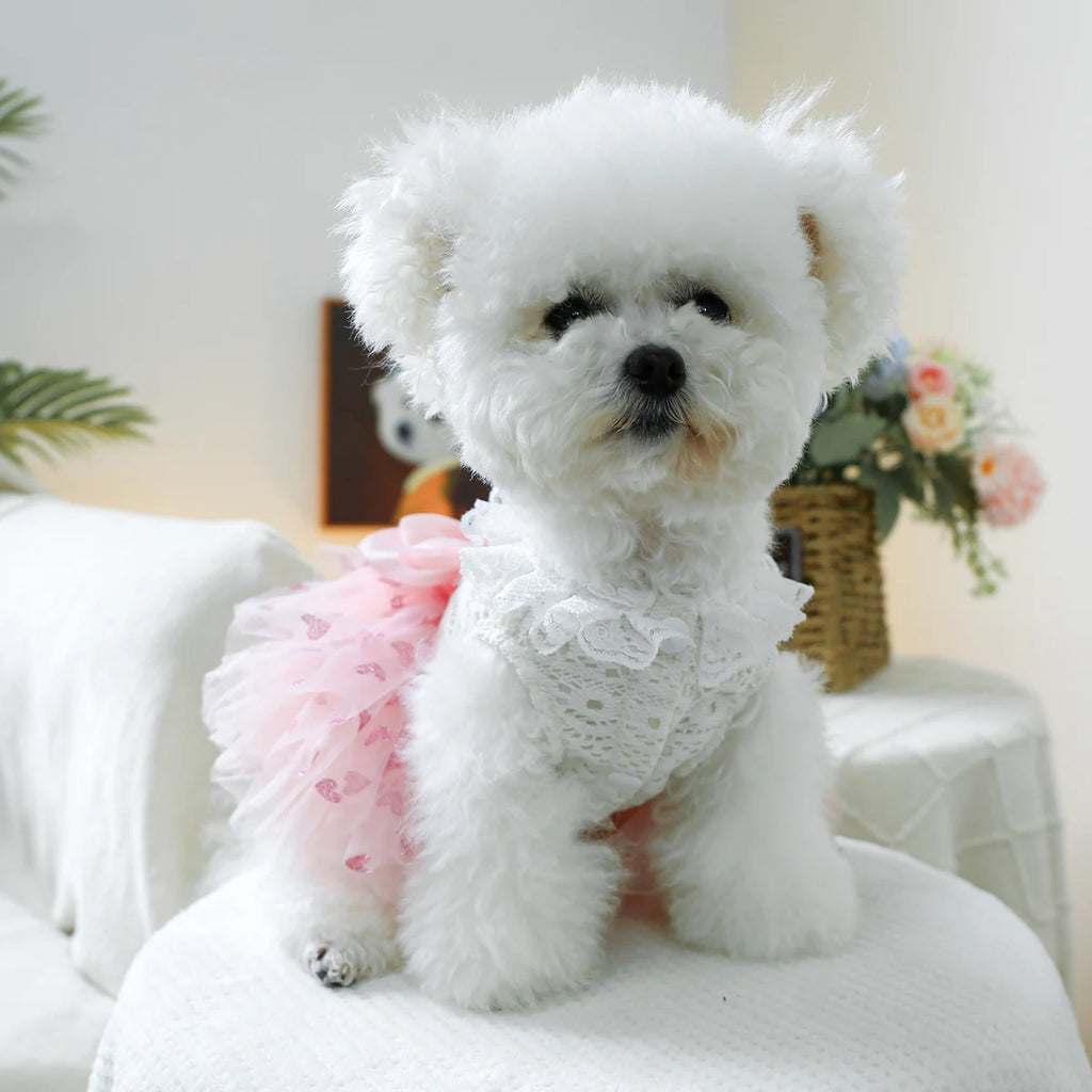 Puff Heart Pink Skirt Wedding/Princess Dress