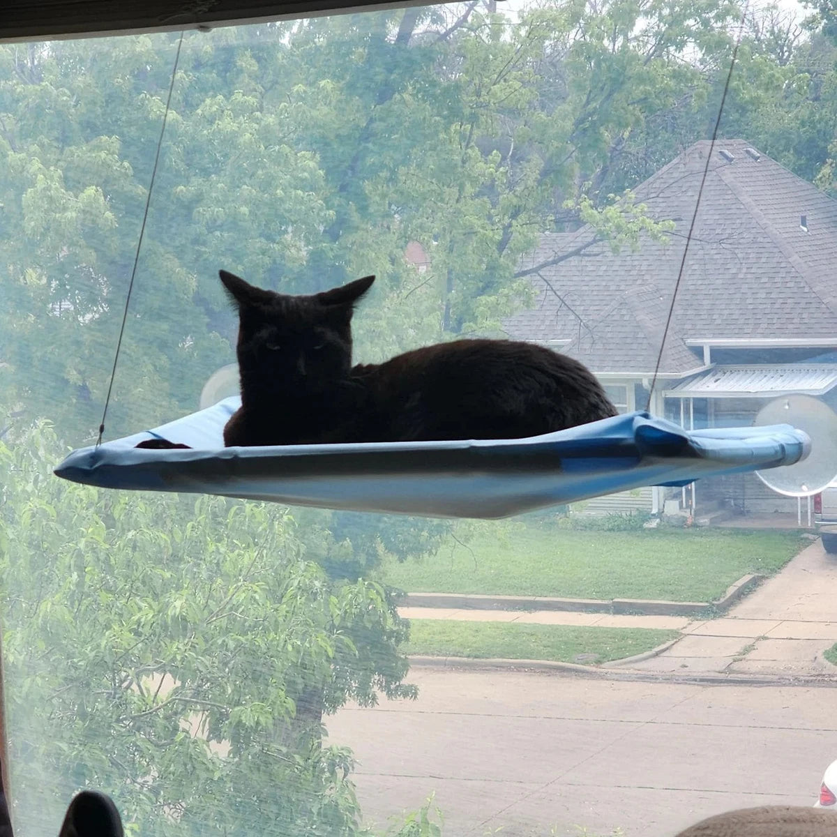 Window Seat Cat Bed; Aerial Hanging Hammock