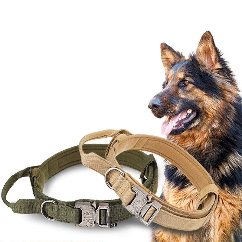 Tactical Training Collar, Leash Set or Separately