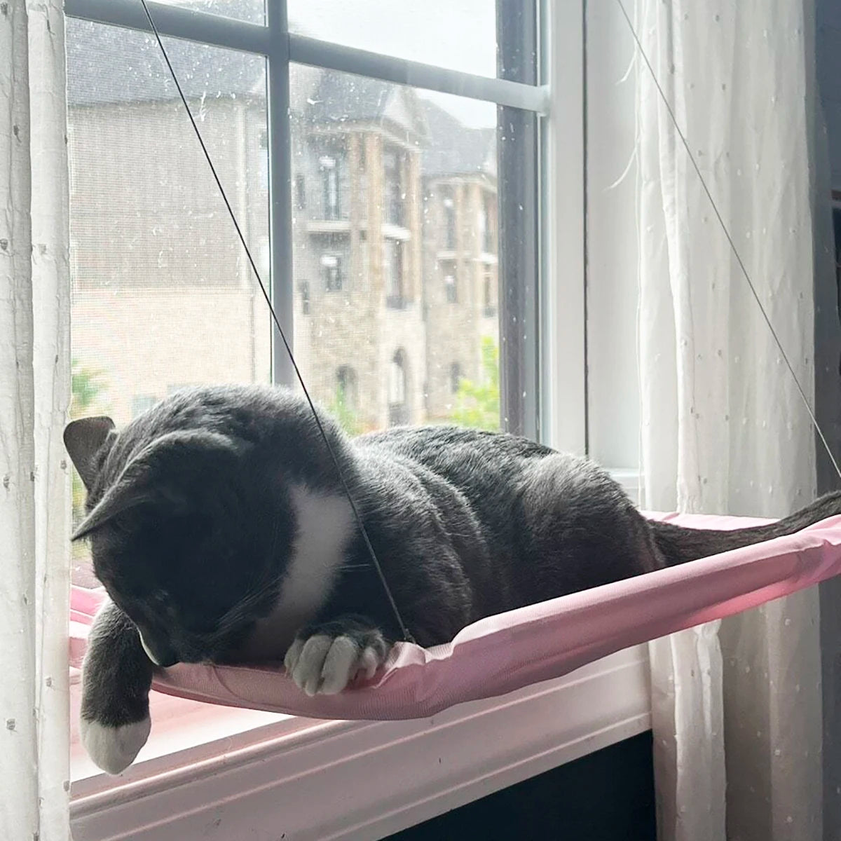 Window Seat Cat Bed; Aerial Hanging Hammock