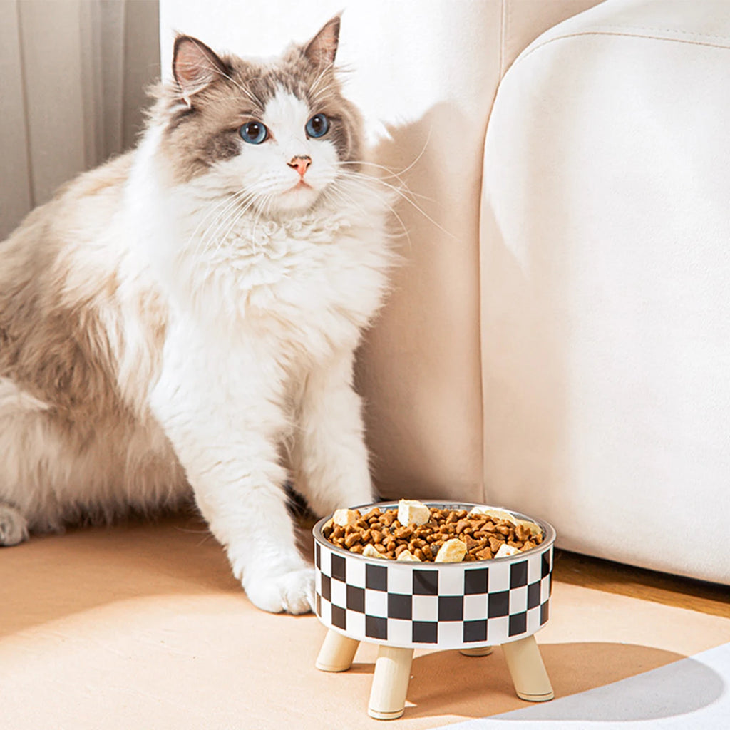 Raised Bowl, Polk-Dot or Checkerboard
