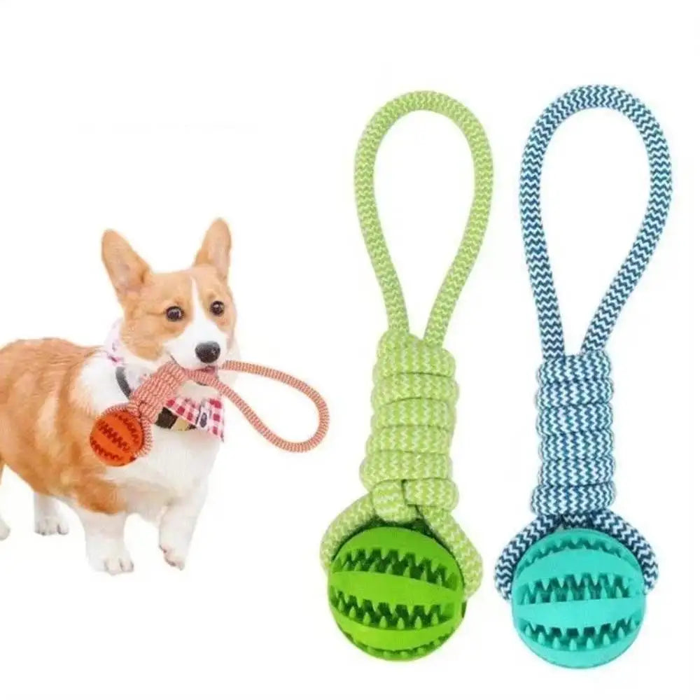 Dog Training Treat Ball, Interactive Educational Toy