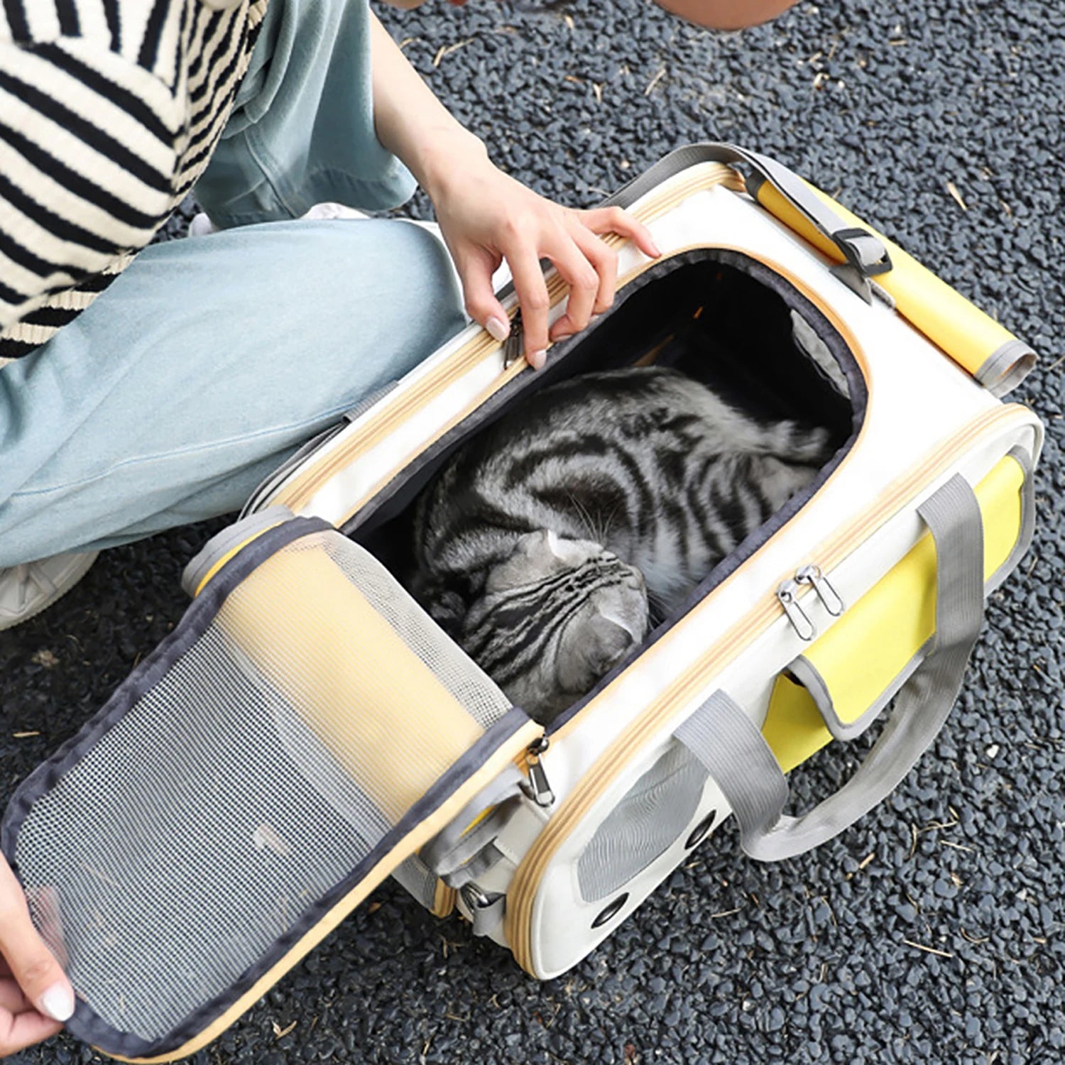 Airline Approved Foldable Pet Carrier for Cats/Dogs