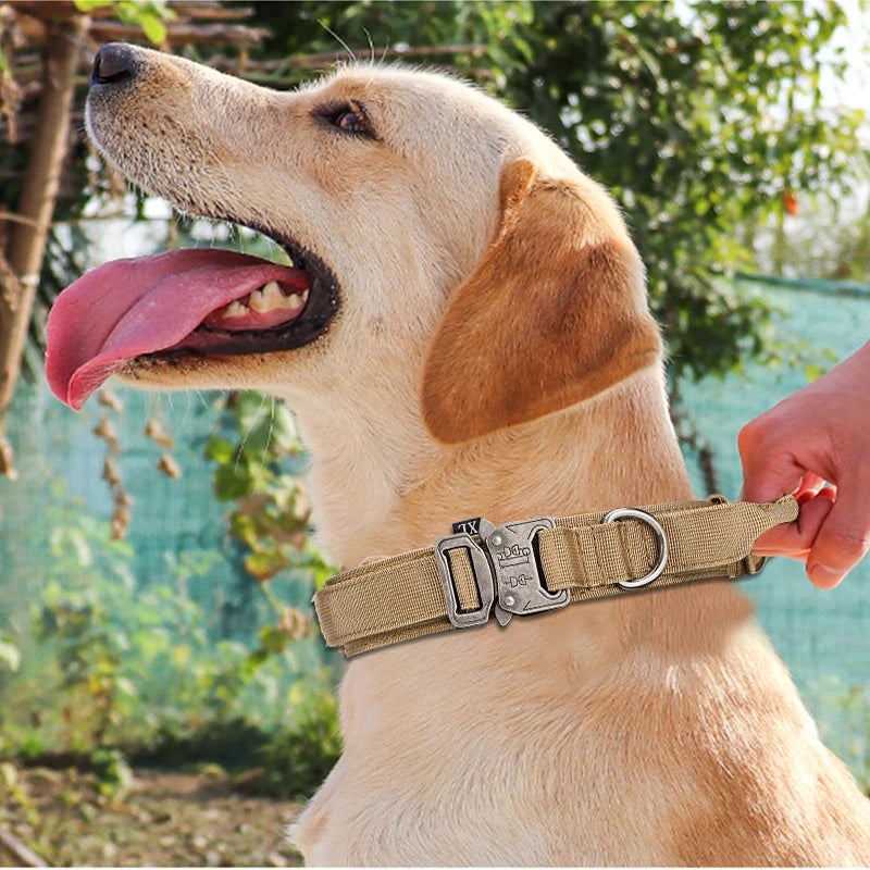Tactical Training Collar, Leash Set or Separately