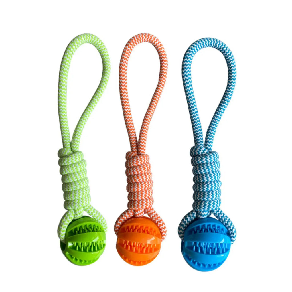 Dog Training Treat Ball, Interactive Educational Toy