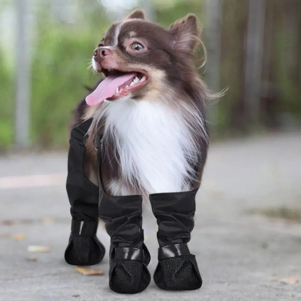 Pet  Boots Protect Paws Against Cold or Heat