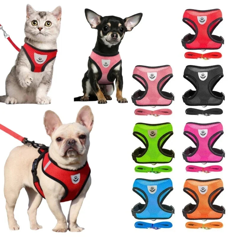 Dog Mesh Adjustable Harness & Leash