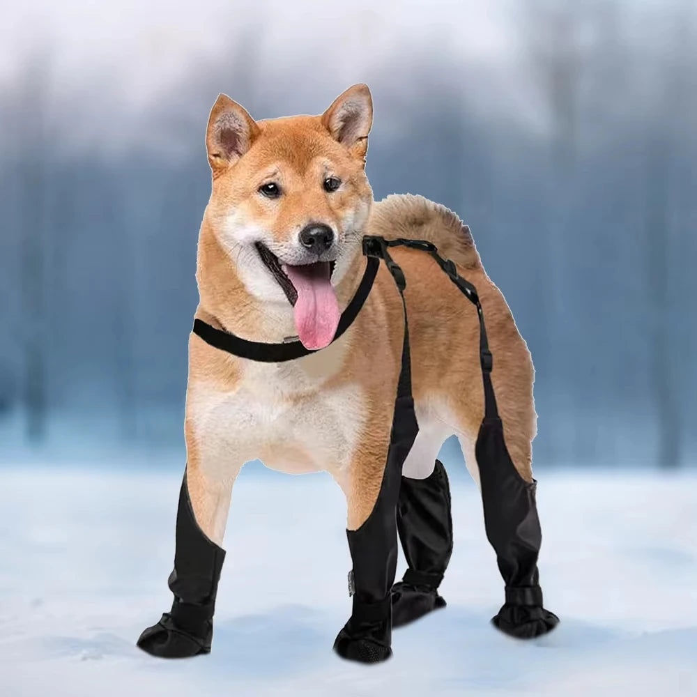 2025 Best Anti-Slip Dog Paw Protector Rain Booties