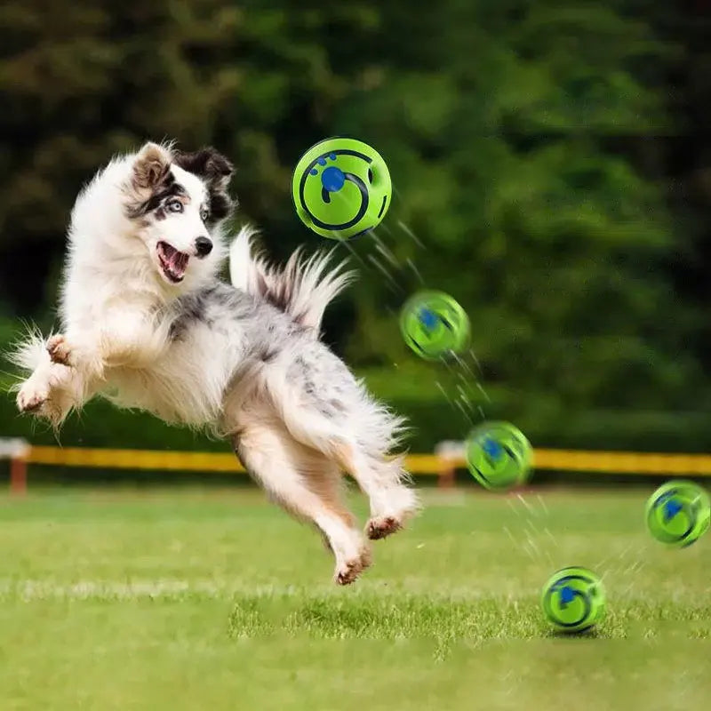Wobble Wag Giggle Glow Ball Interactive Dog Toy