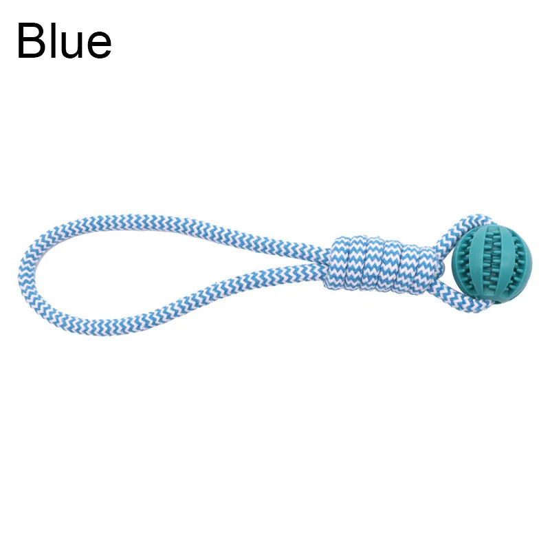 Dog Training Treat Ball, Interactive Educational Toy