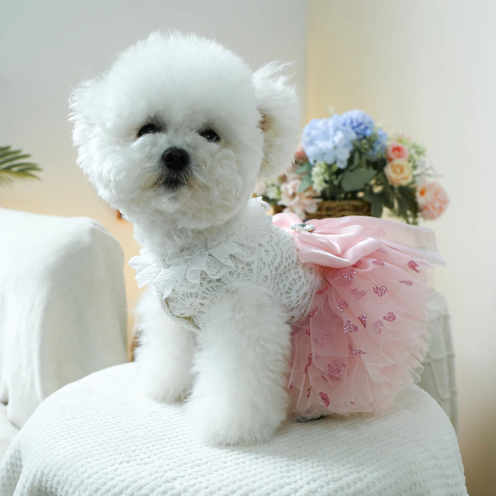 Puff Heart Pink Skirt Wedding/Princess Dress