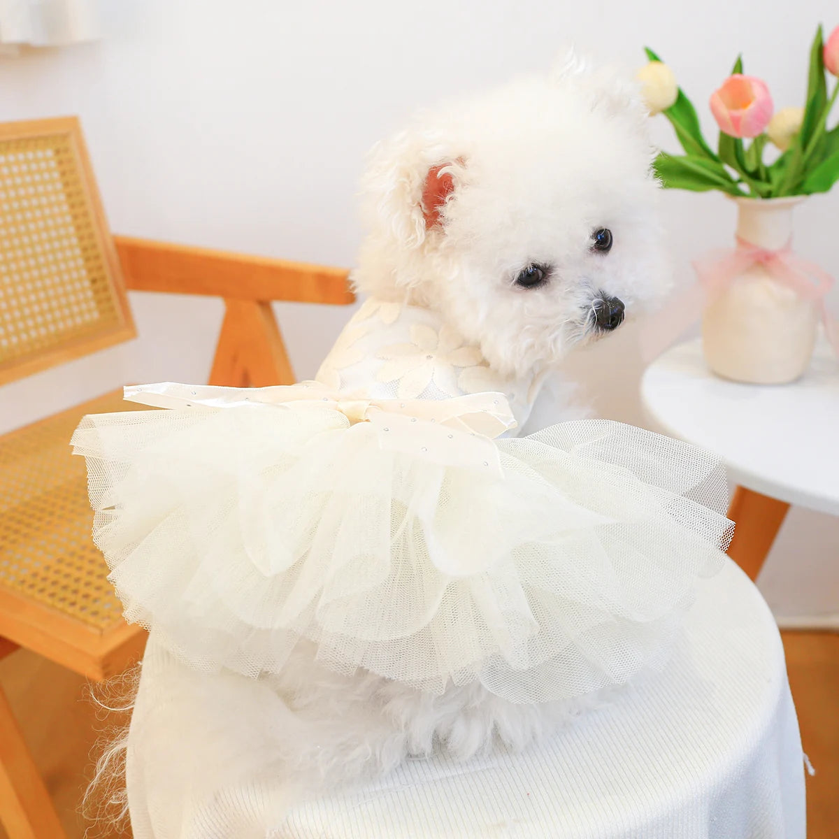 Couture Pet Wedding, Princess Dress