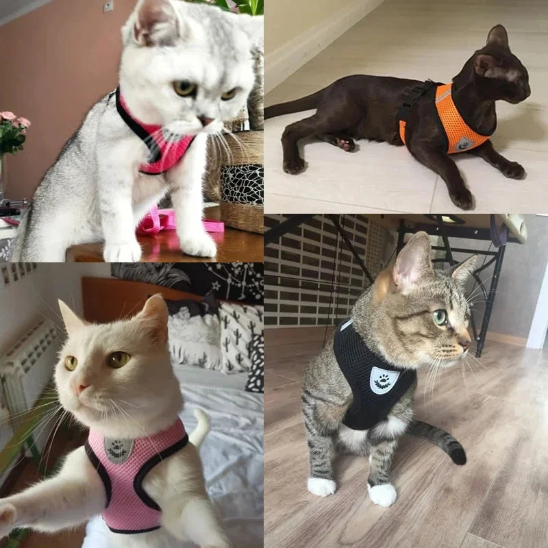 Cat Walking Vest Harness & Leash