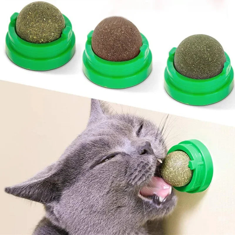 Natural Catnip Stick-on Wall Scratchers Treats