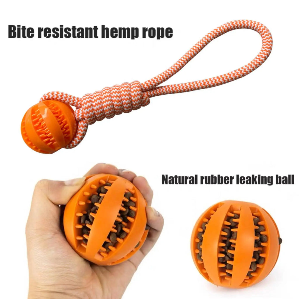 Dog Training Treat Ball, Interactive Educational Toy