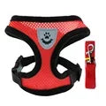 Dog Mesh Adjustable Harness & Leash