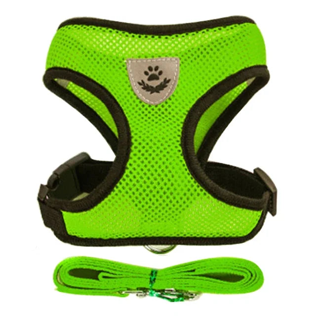Cat Walking Vest Harness & Leash