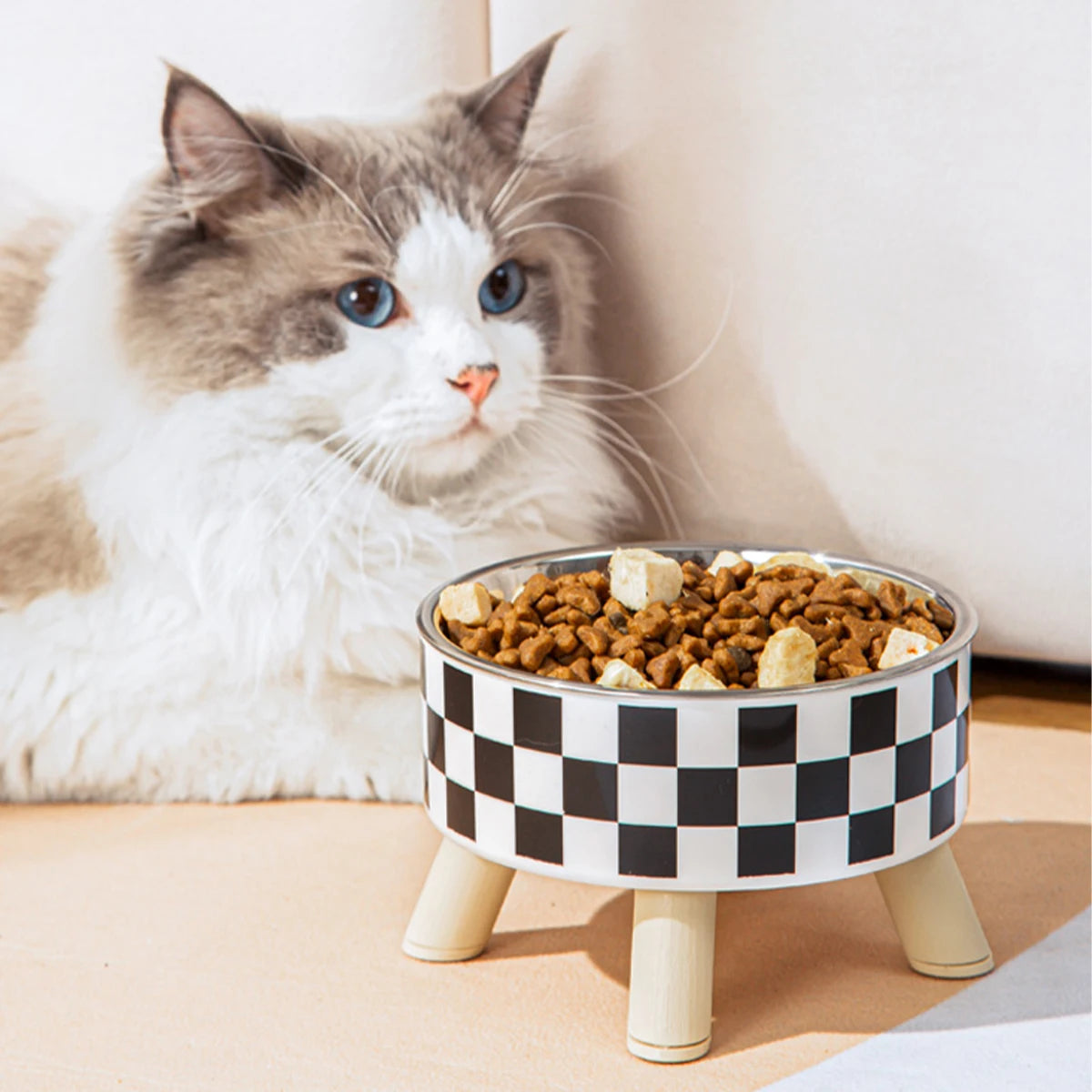 Raised Bowl, Polk-Dot or Checkerboard
