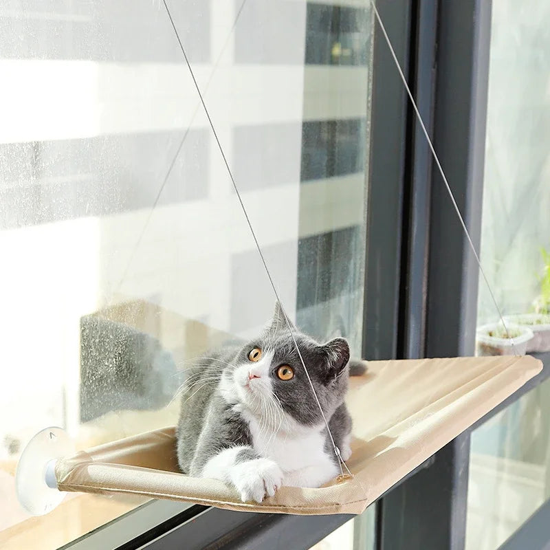 Sunny Window Seat Hammock for Cats