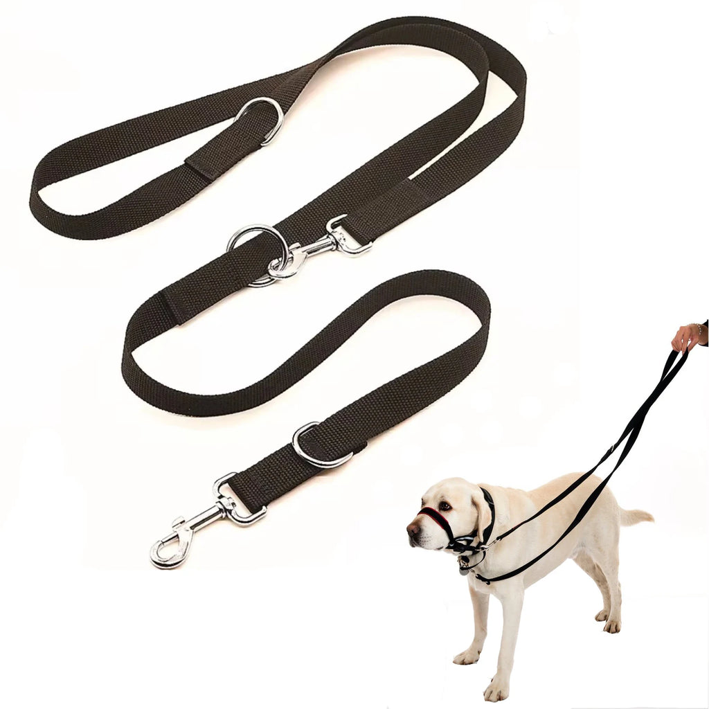 Adjustable Dog Leash for Walks, Training, Control