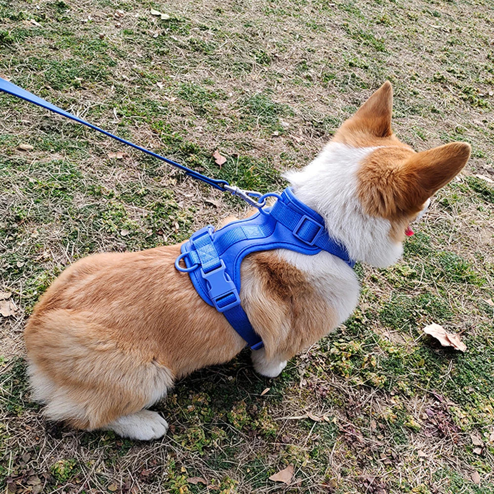 Breathable Lightweight Dog Harness Adjustable
