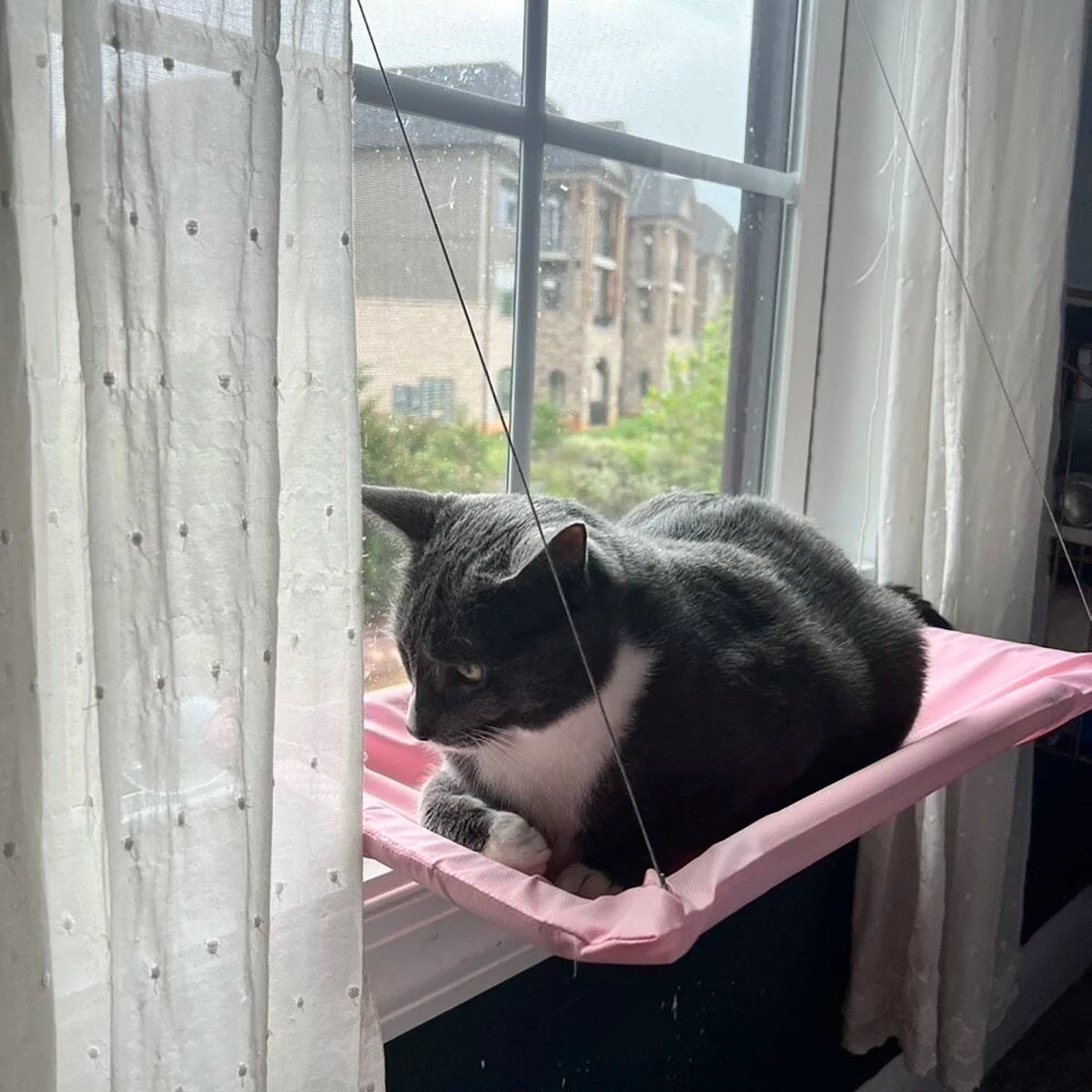 Window Seat Cat Bed; Aerial Hanging Hammock