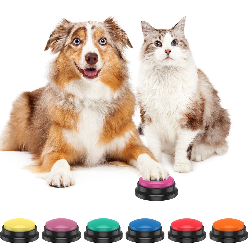 Teach Dogs How to Communicate With You