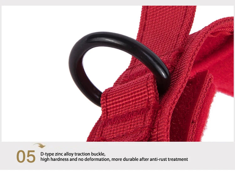 Tactical Training Collar, Leash Set or Separately