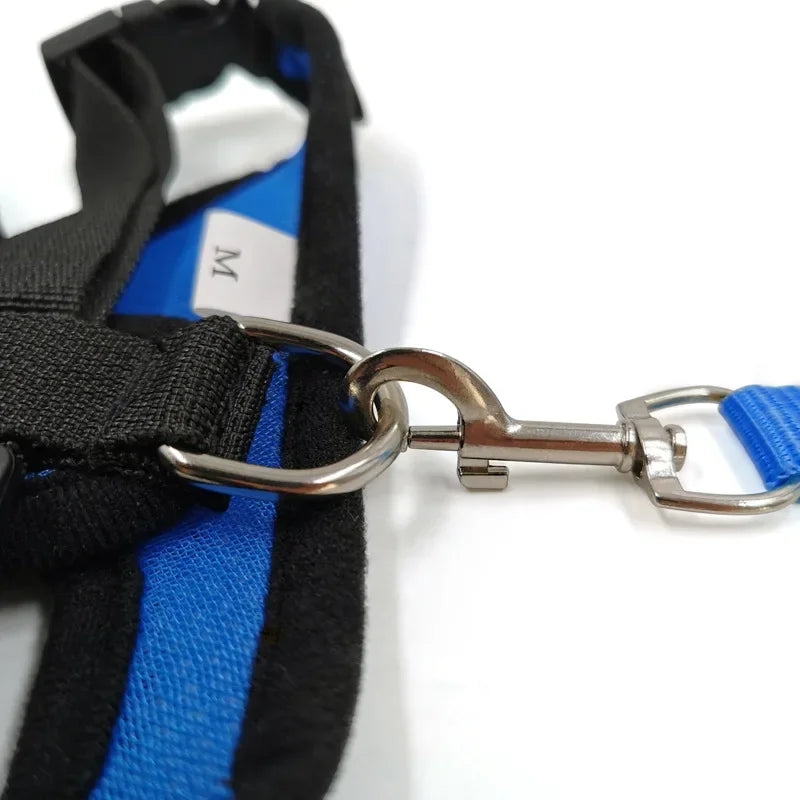Dog Mesh Adjustable Harness & Leash