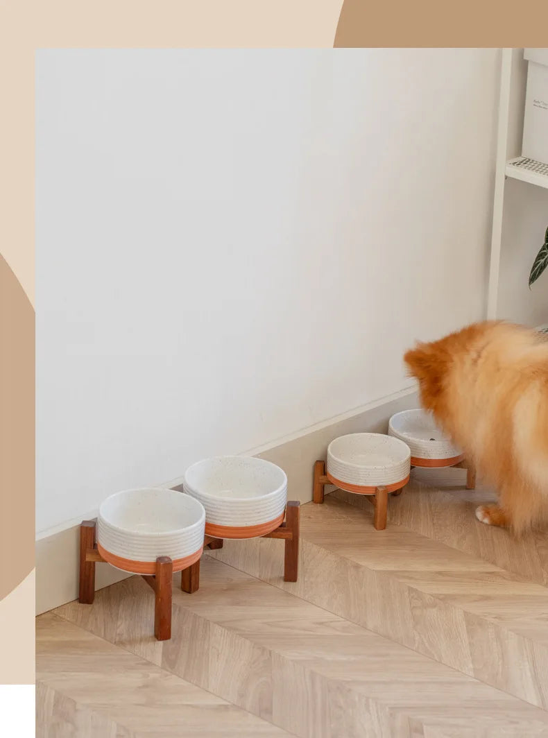 Large Ceramic Double Elevated Bowls, Wooden Stand