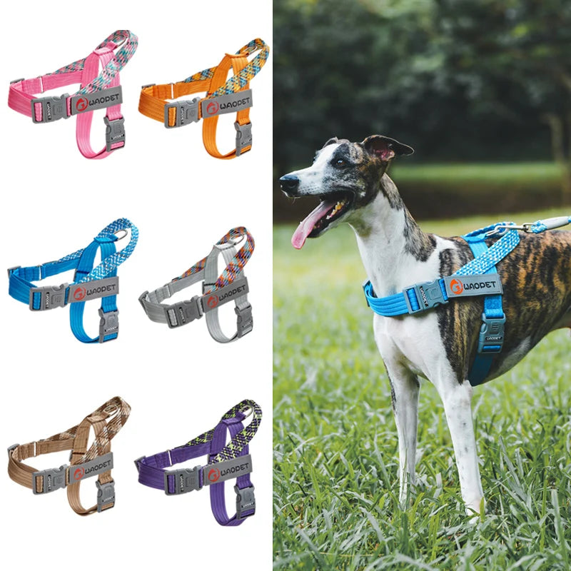 Chest Strap Nylon Harness, Adjustable