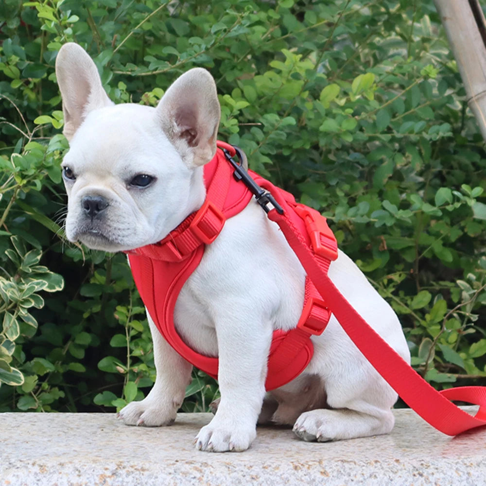 Breathable Lightweight Dog Harness Adjustable