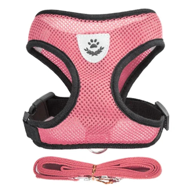 Cat Walking Vest Harness & Leash