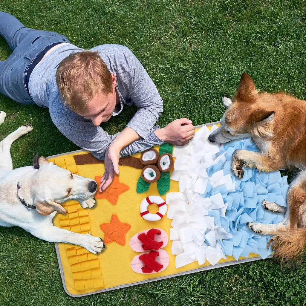 New Dog Sniffing Mat; Hidden Food Blanket