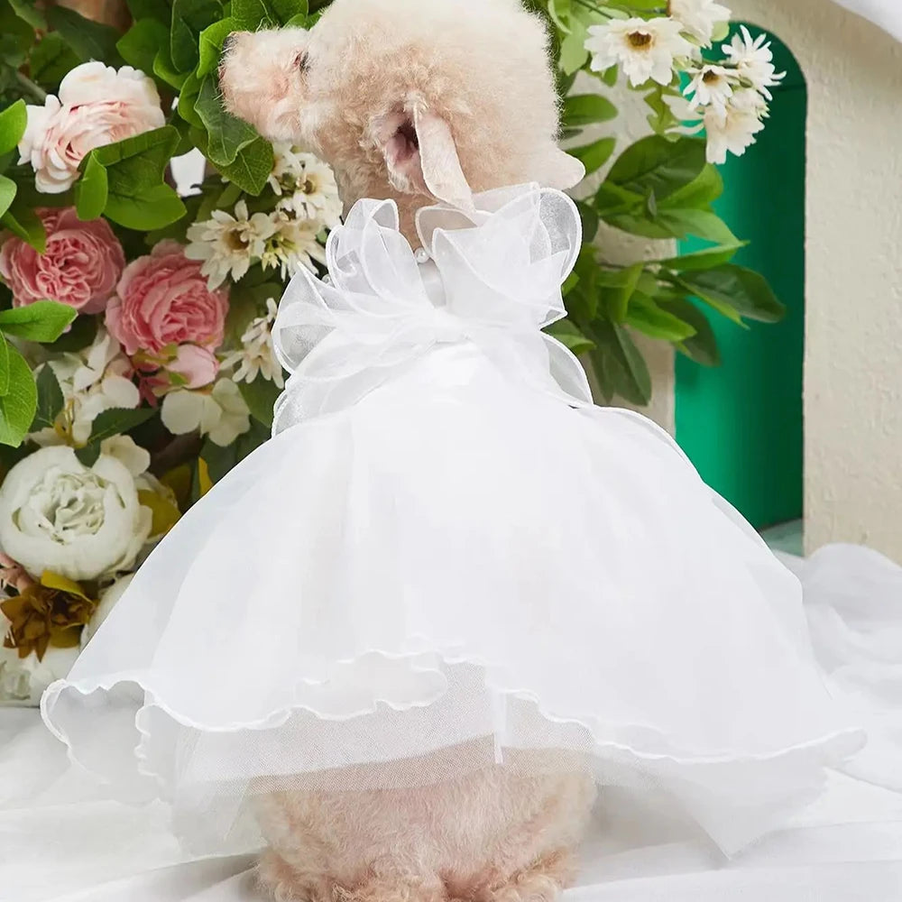Luxury Cat/Dog Wedding Princess Dress