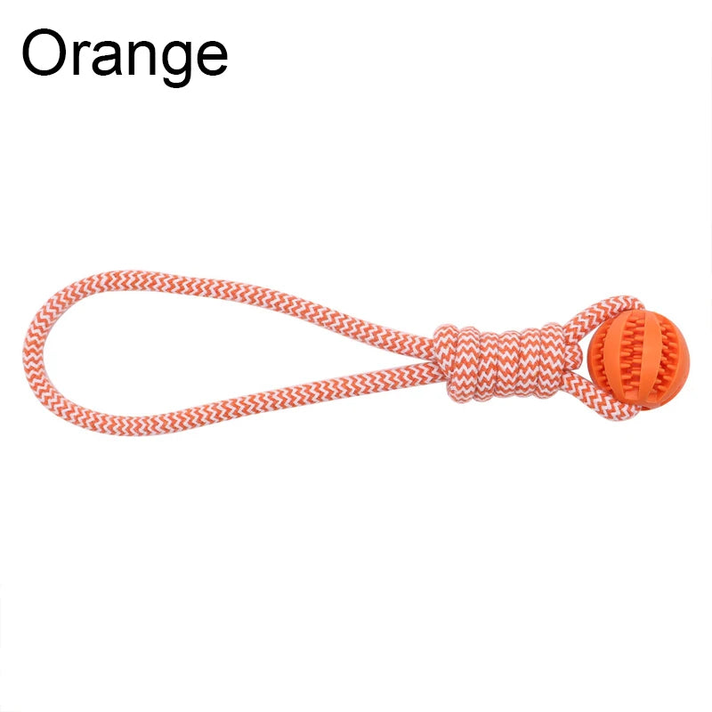 Dog Training Treat Ball, Interactive Educational Toy