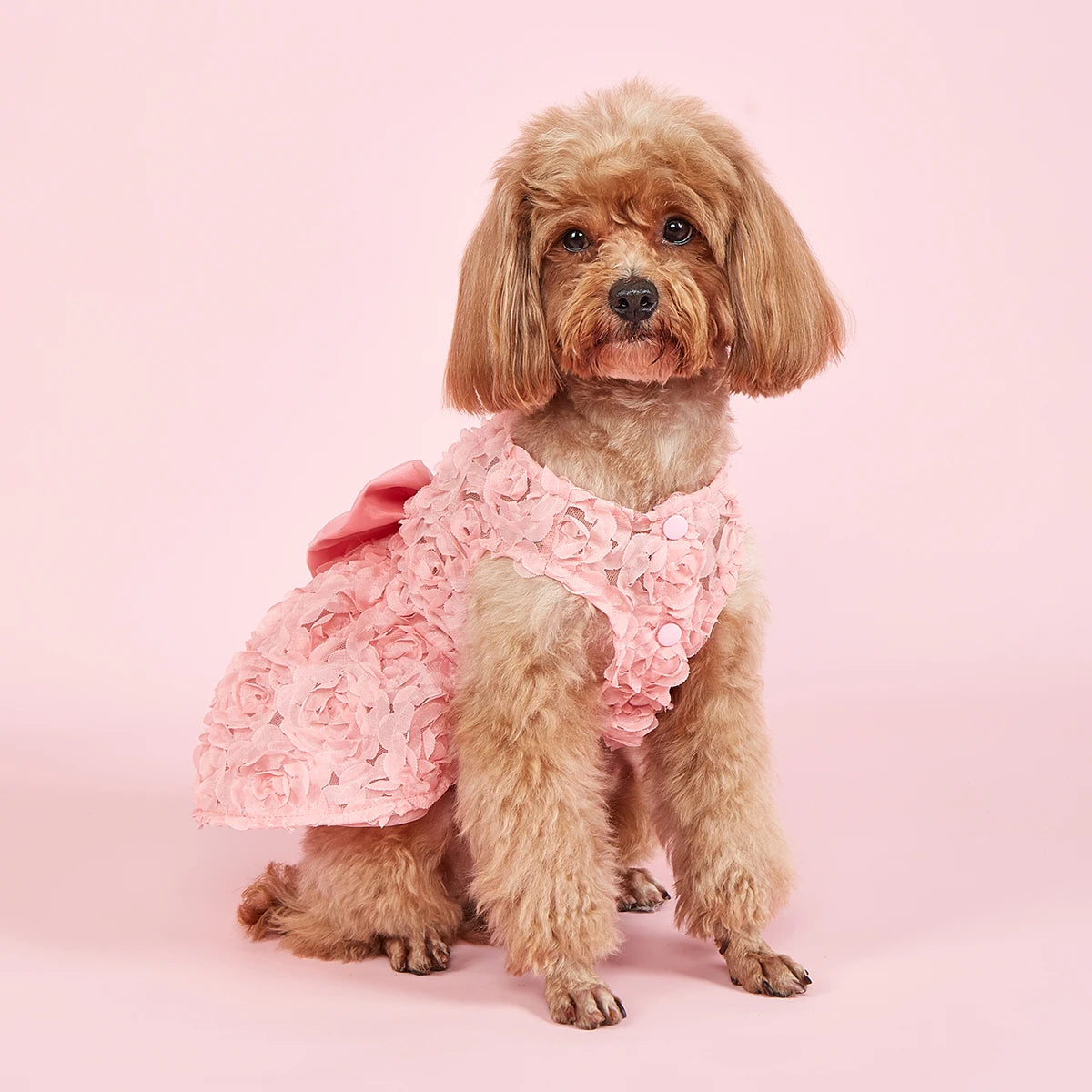 Dog Princess Dress Embroidered Flowers