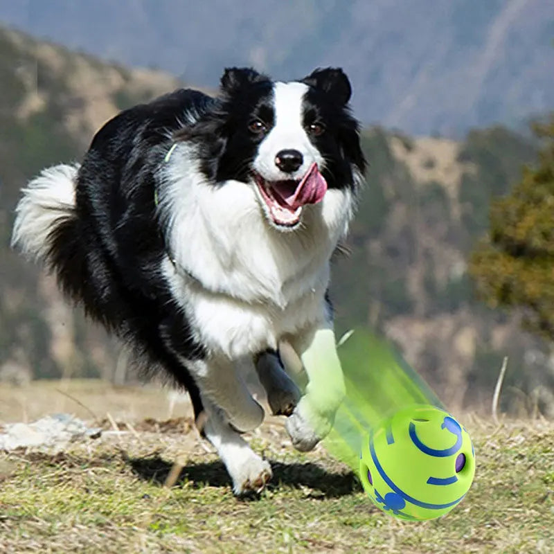 Wobble Wag Giggle Glow Ball Interactive Dog Toy