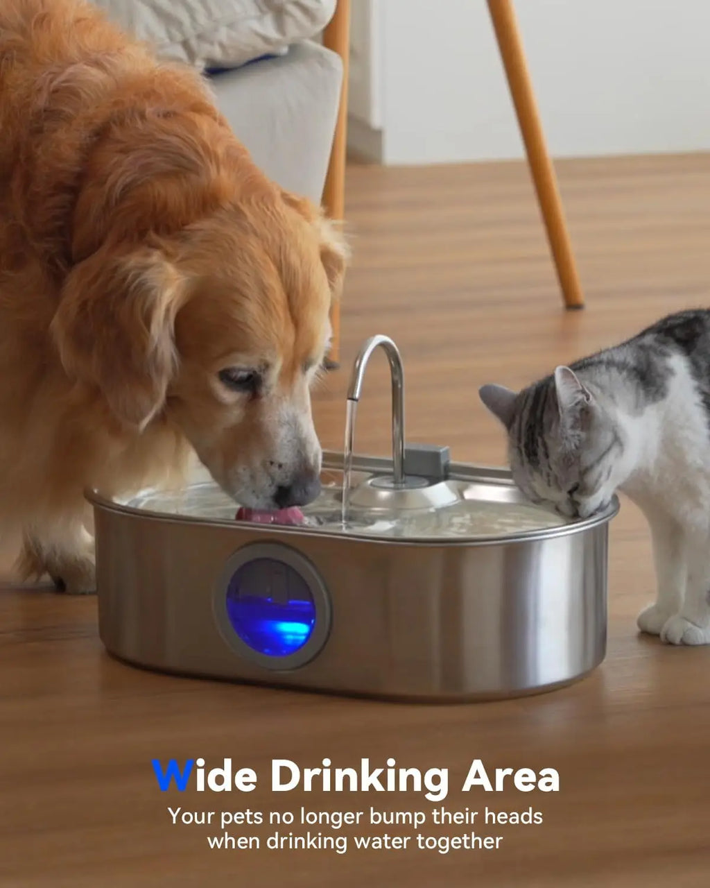 13L Stainless Steel Pet Fountain; Quiet Pump
